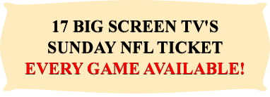 17 Big Screen Tv's Sunday NFL Ticket | Every Game Available